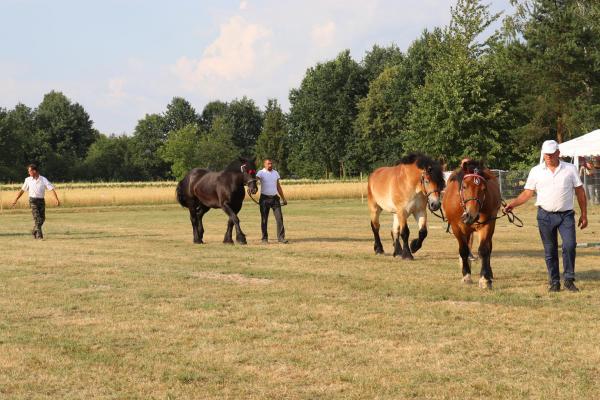 abe1df3a44df810c631c2aa3cdc74f5c