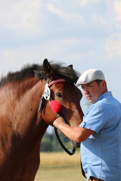 c9b459d0438454159dbb6c22fac1af01