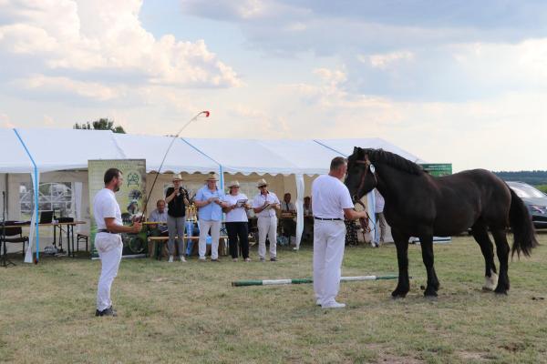 91e79ee4d3ff41ec2cdf083260d86576