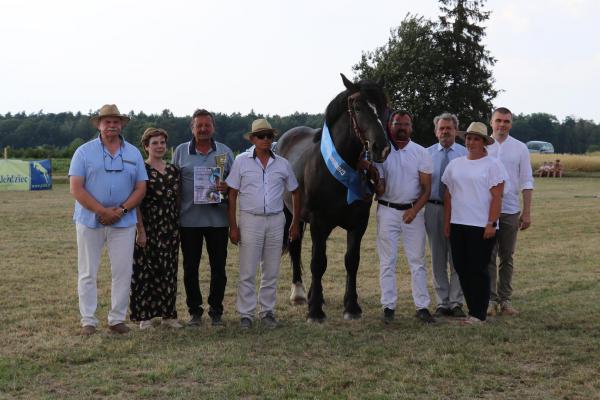 afeaa1490a05b5ce78b9033ddd38d812