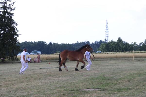 40aed3ccf8bf28b397bac90a17f9a1cf