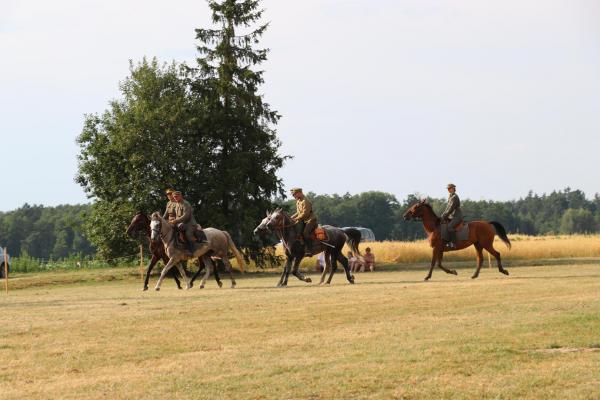 96cf7f95e8a81e079e9cfb31ec76f0bc