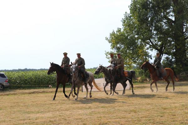 5adc53e8d26419ca0a6dbac4c95645c9