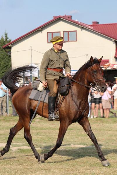 402aa8c6be2d8dda8a7bf097459e2296