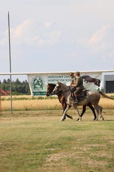 dc56a79caf748afe76f105d4d9e161f5