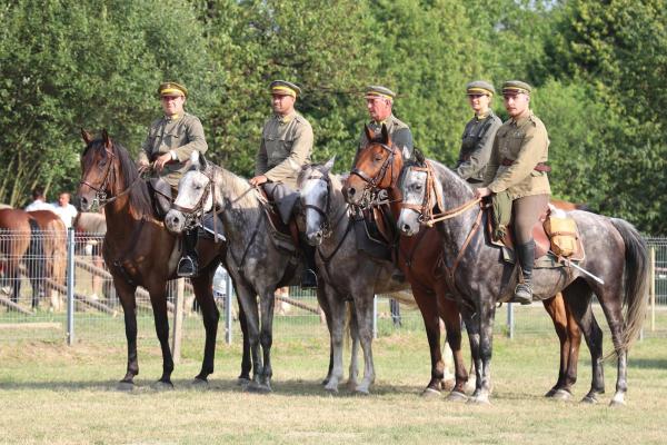 5d7e7d329adc38d9c82989219968c8bd