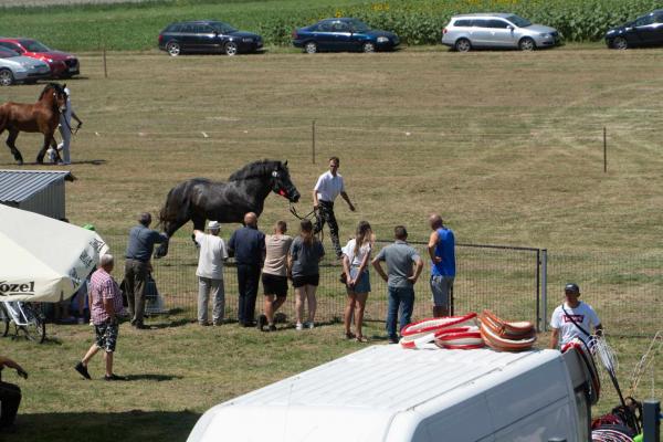 b92aeab910eb1d435582dbbba504d683