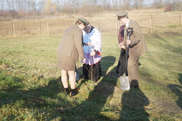 5dc791a3638f1dc9826f50822572daa9