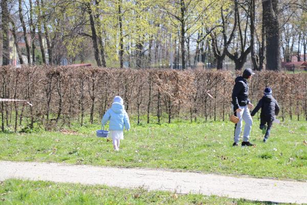 c3bad340bb651b7dee0699e0e5f411ea