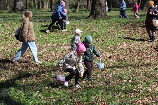 43b19508c002c61eb261199220d5bf25