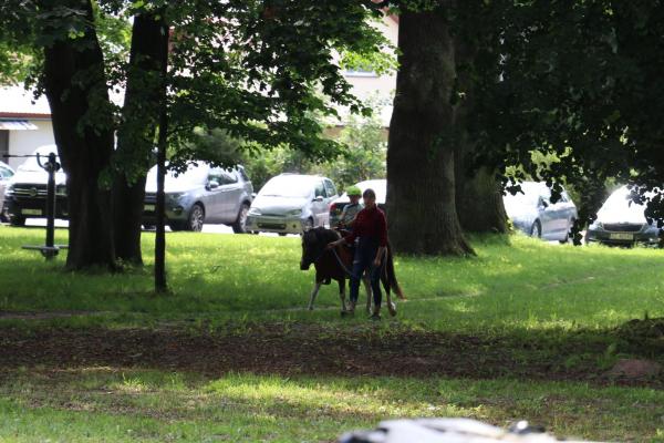 5d5c7918c7b547aa23caa0e3c26514da