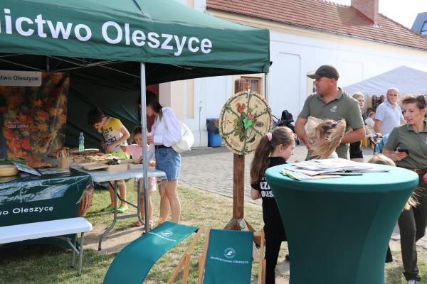 415b6e147c97ac07878b45d0674b9317