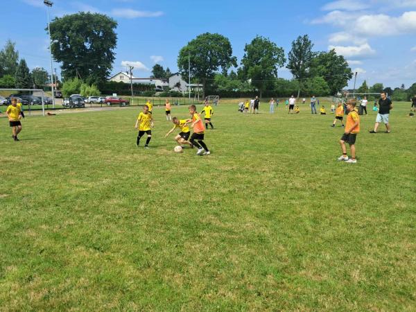 51fc6fd3893406a8e9dc1cf5cf67a498