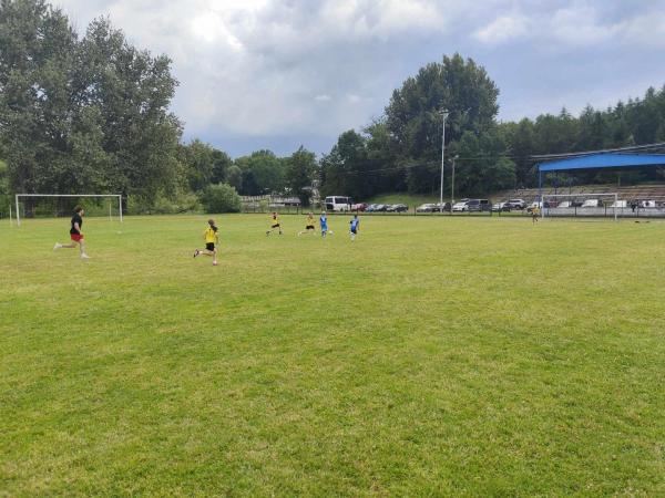 c3b0f1f210dba542a2ecde8dc238e15d