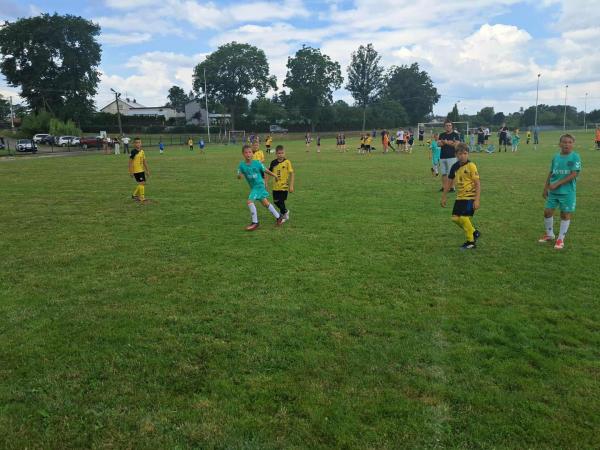 736fe6d974cac1cd2aafb2031de4c4b2