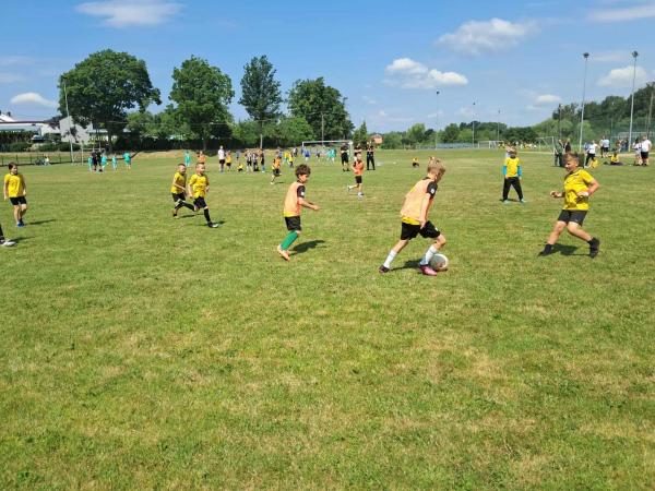 81378b916653d5b65791ac1242669092