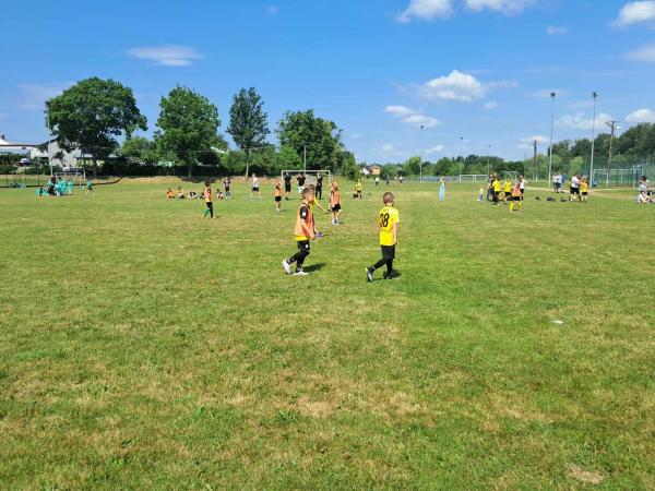 d0a8e1c53ffdfbf858001e870d258dd4