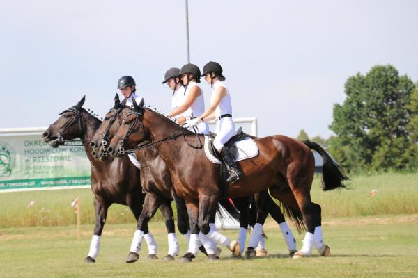 d06dc34285077a89b533342ab4a2dd89