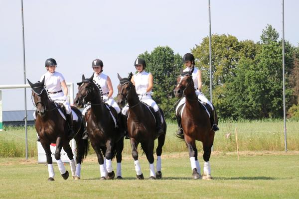 3dbdd80ad2d6329bee805ceff8ae286b