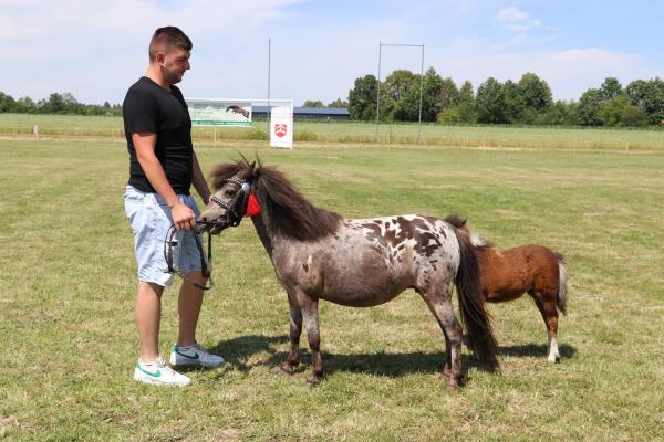 d9d50a7594e45a6857ccf1dd1bae12a7