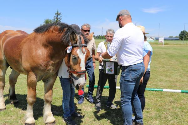 0626ca45f2cd66b0f185eed0ae198ca8