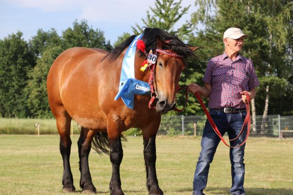 33e688d1e4358919c33b871e83cc0ad0