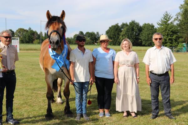 ffe6c2b47f68115e53884333fa005044