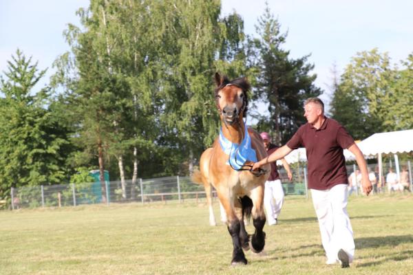 3687fda5e798e95d3e0ef06b7ab315c0