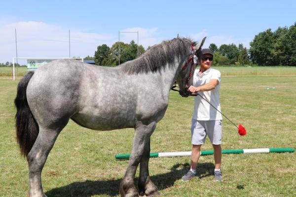 8e0dfb168dc8963bba8fc417297a1c0e