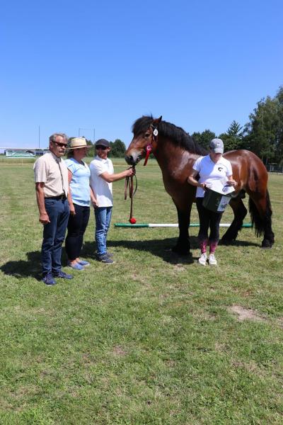 3aa34bada962ec3b2f150b60cfcfcd38