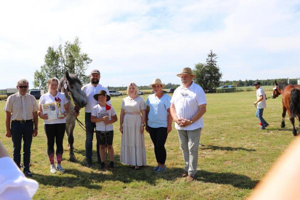 d88f7c8dc83c2a39a1492ff0cdc8abd9