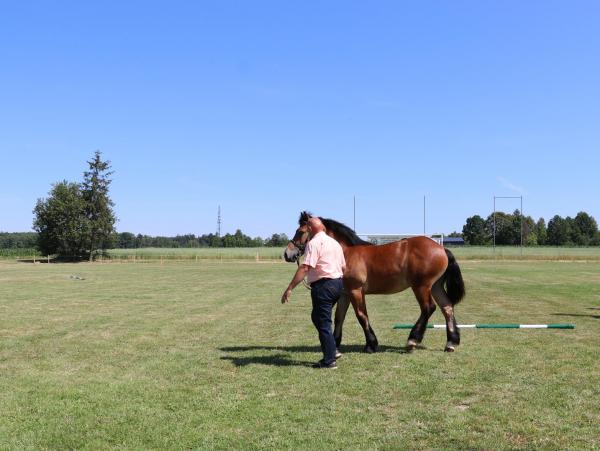 6ba3e7ed14837346ccc39681addfb91f