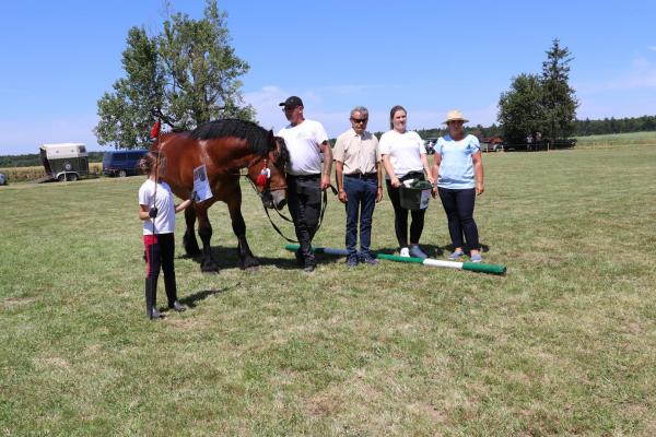 e9ffb474b772d4098e6542fa98708132