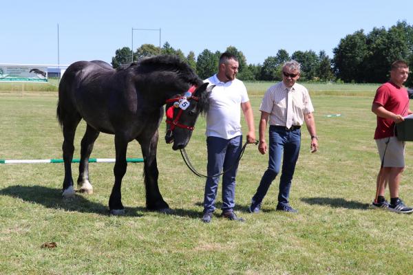 0a2019bdbcd853c3d9d9119bd969e6a7