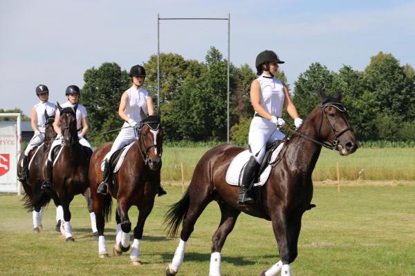 79af6670da57f6c7bd00d52348c9d579