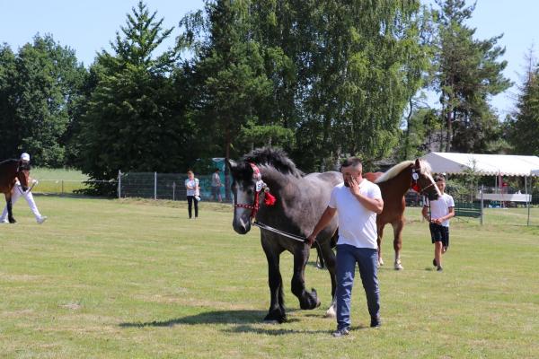 51c6c83e7e5dcc8913d293a31f99890f