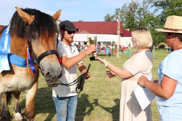 c9063b66952a1f95ff1abc3e4dd1dff8