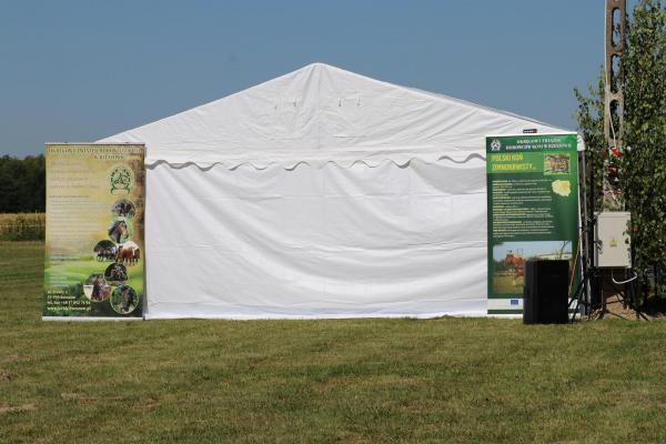 90da4634a0a9698bb230fd49f5f401dd