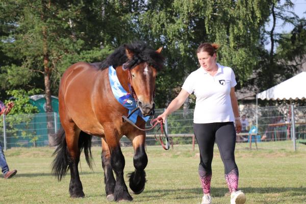 49d91a4fb3ca458b1119b9ee26717b22