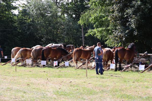 7a5560344fdf1de012bbd3f6ba542edd