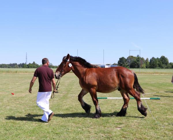 d054e91e6278d67c662d99da63c6d841