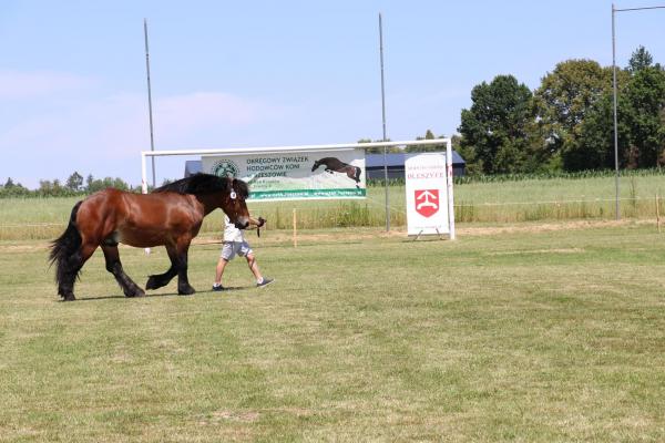 23bdd891d74a69f794f628a2cbb00b42