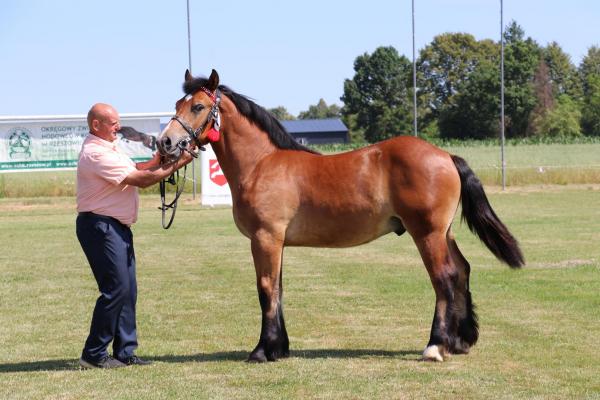 52f4a639f9e0b4a9b1dd11e309d72bb2