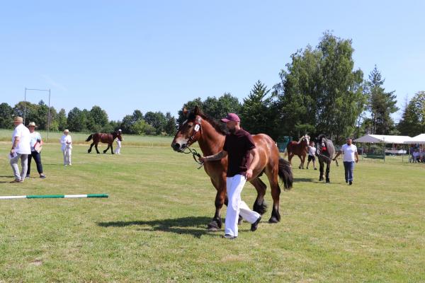 01d7cd996bc4781ceeef99eedcb7f1aa