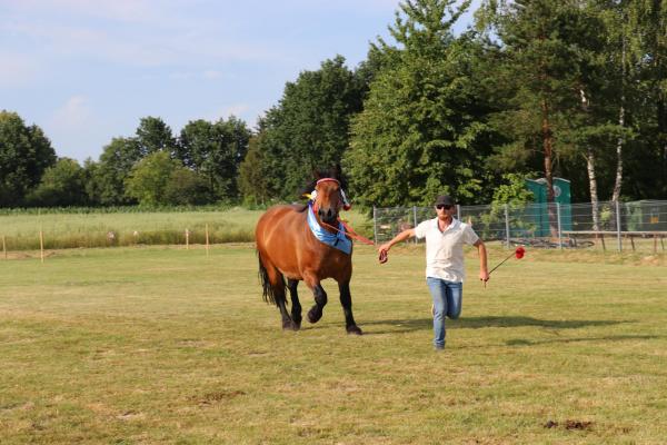 186e9335f081f746e03f1cc2177b1efd