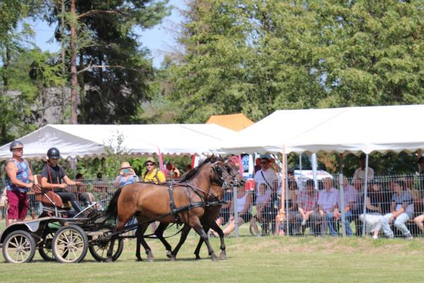 cbcea91162903414429a36c728e56a16