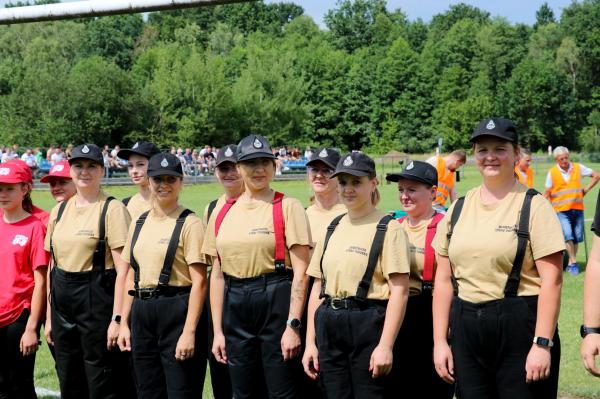 3d8a9626747f11187202e7c834d12186