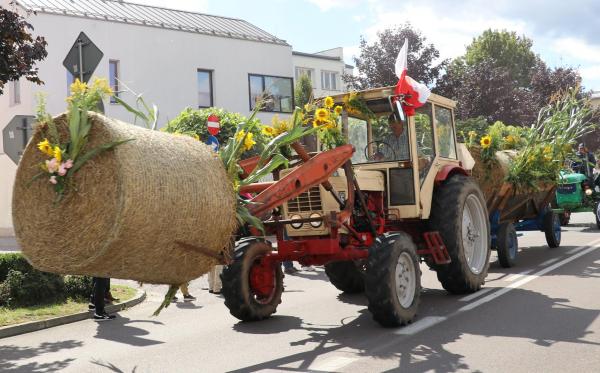 42d389500bbf18c994fa0f92b15ef0fc