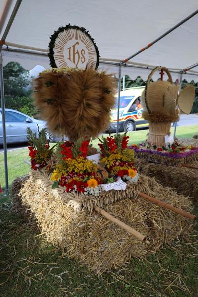 ff453fc88f9fb68fb2404b58465ba578