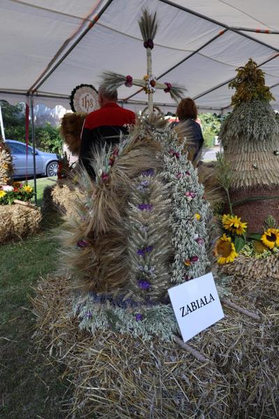 61ed9da15b5a1340fab8366da8fc1085